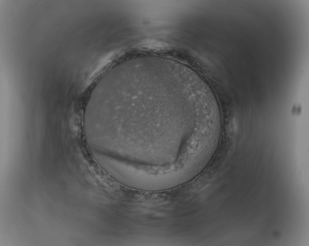 X0000111351397200907241147