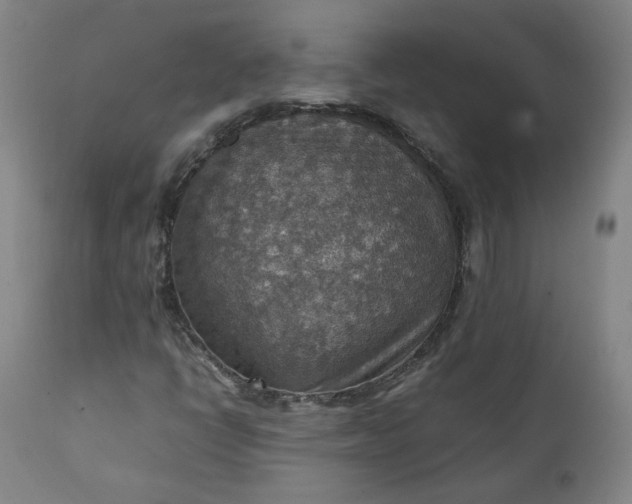 X0000111351398200907241147