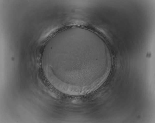 X0000111351399200907241147