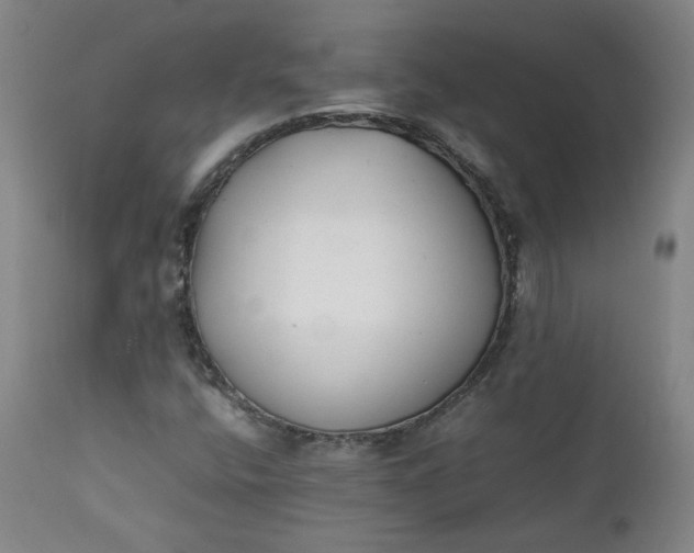 X0000111351400200907241147