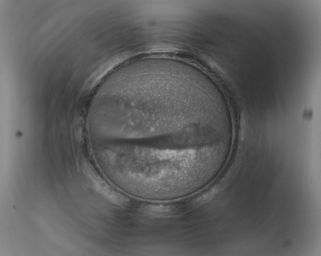 X0000111351401200907241147