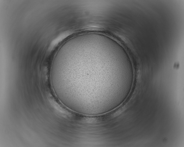 X0000111351402200907241147