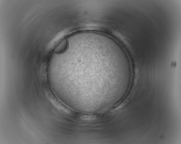 X0000111351403200907241147