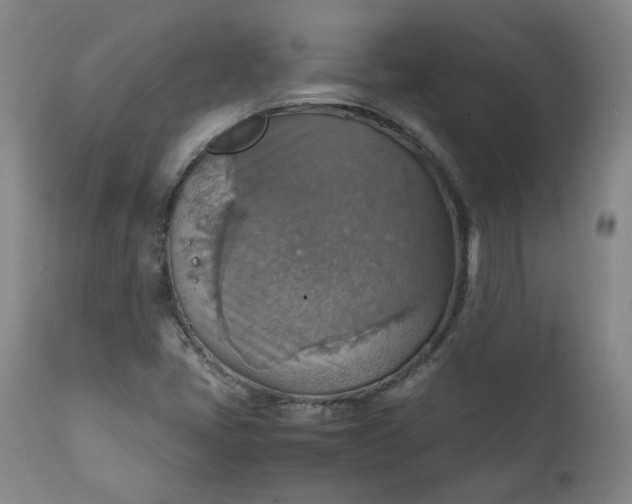 X0000111351405200907241147