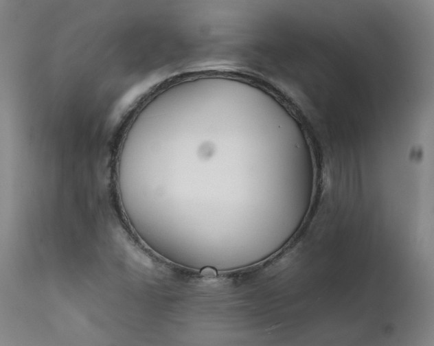 X0000111351406200907241147