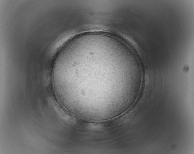 X0000111351407200907241147