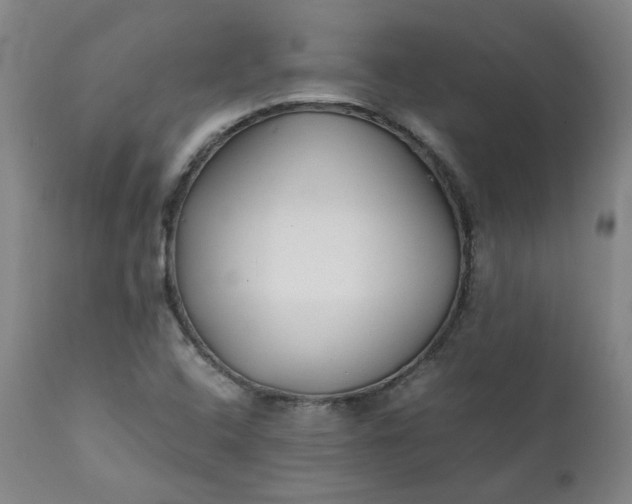 X0000111351408200907241147