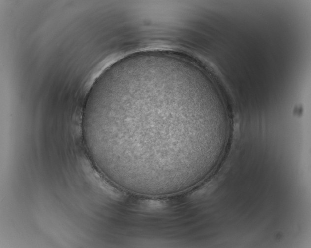 X0000111351409200907241147