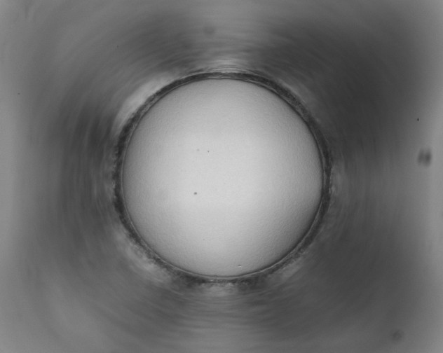 X0000111351410200907241147