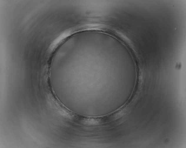 X0000111351411200907241147