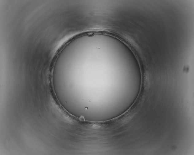 X0000111351412200907241147