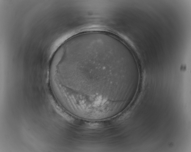 X0000111351413200907241147