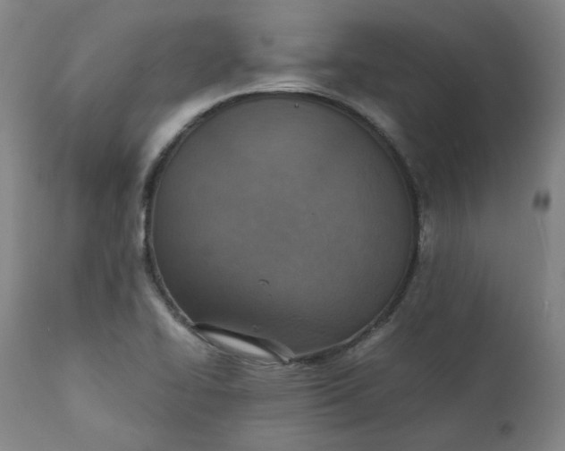 X0000111351414200907241147