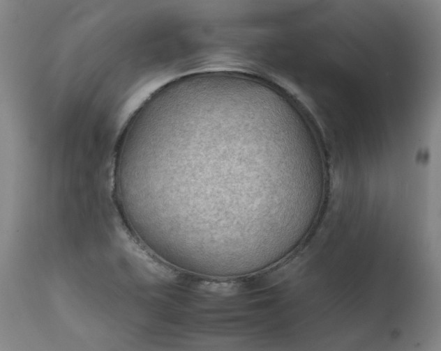 X0000111351415200907241147