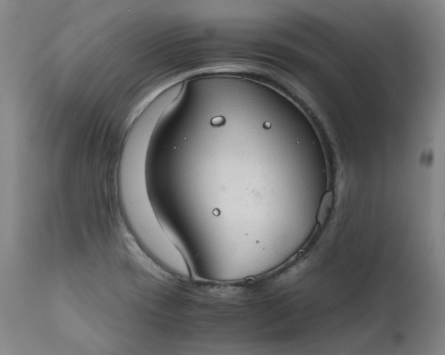 X0000111351417200907241147