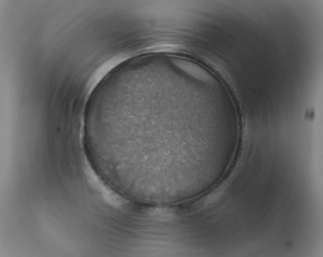 X0000111351418200907241147