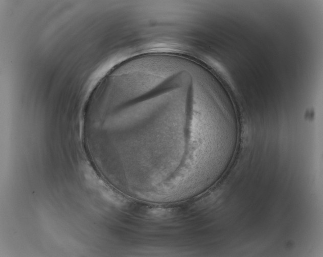 X0000111351419200907241147