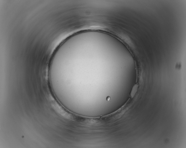 X0000111351420200907241148