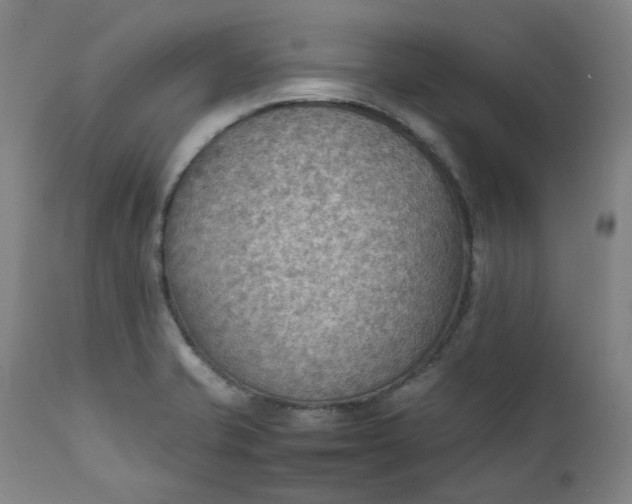 X0000111351421200907241148