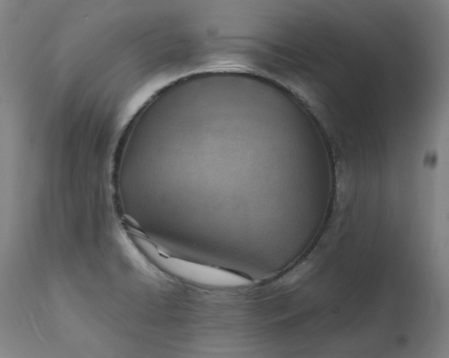 X0000111351422200907241148