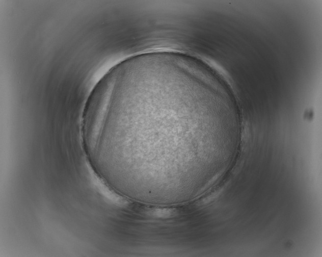 X0000111351423200907241148