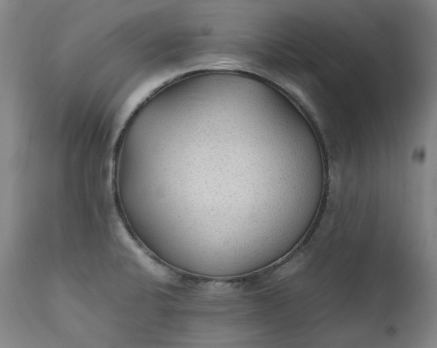 X0000111351424200907241148