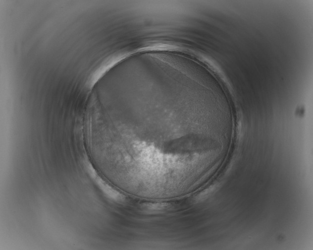 X0000111351425200907241148