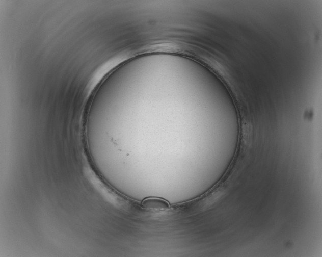 X0000111351426200907241148