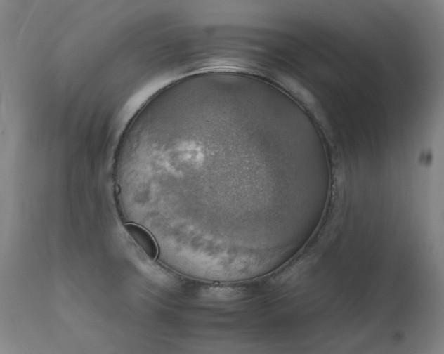 X0000111351427200907241148