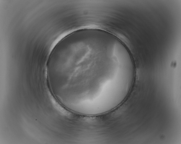 X0000111351428200907241148