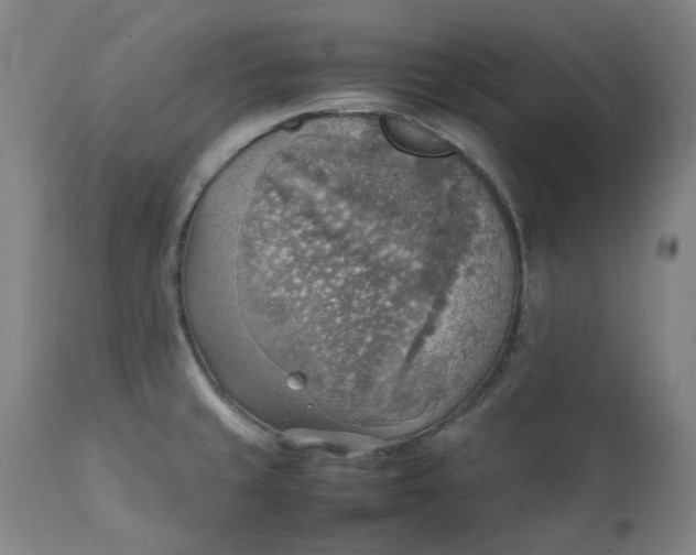 X0000111351429200907241148