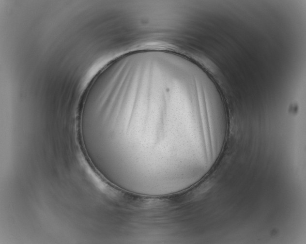 X0000111351430200907241148