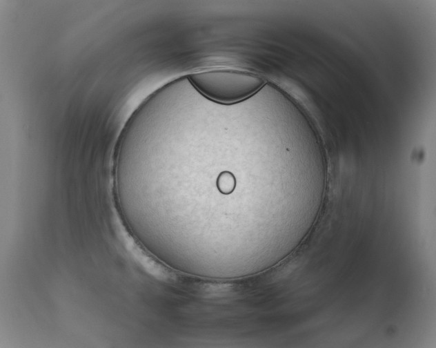 X0000111351431200907241148