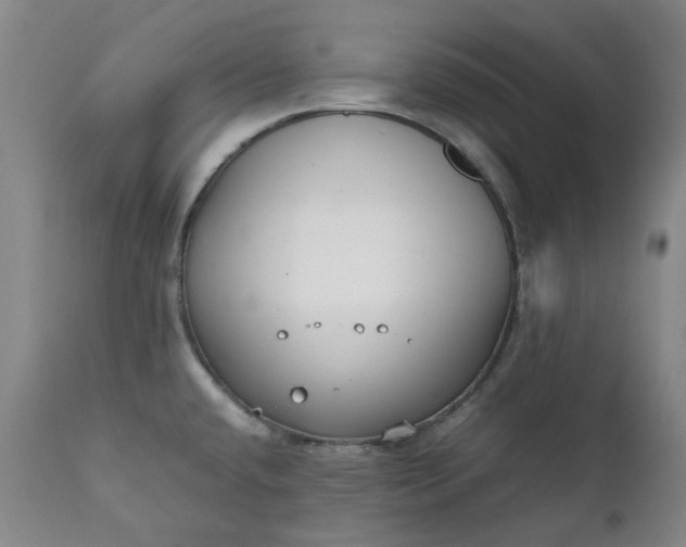 X0000111351432200907241148