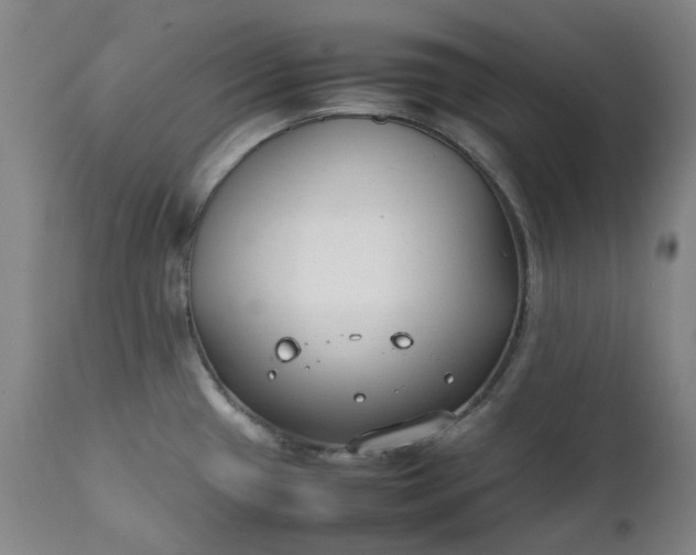 X0000111351433200907241148