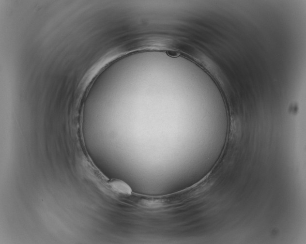 X0000111351435200907241148