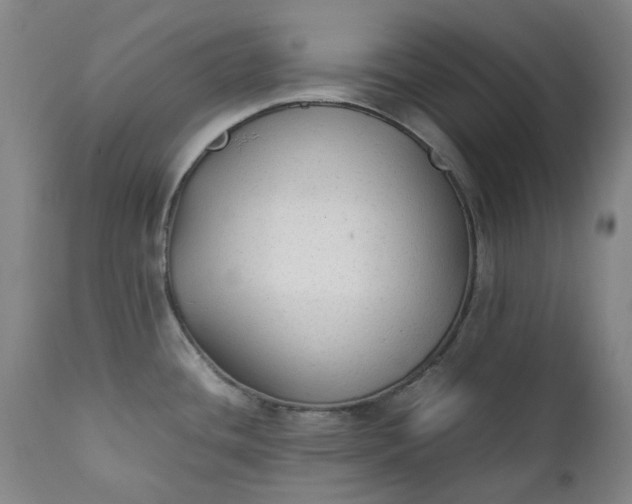 X0000111351436200907241148