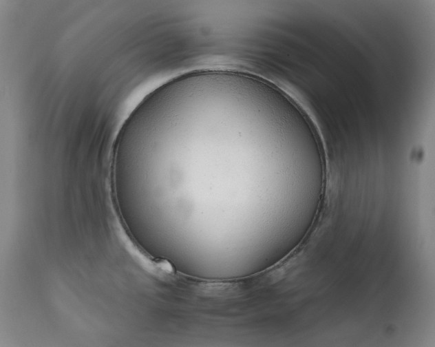 X0000111351437200907241148