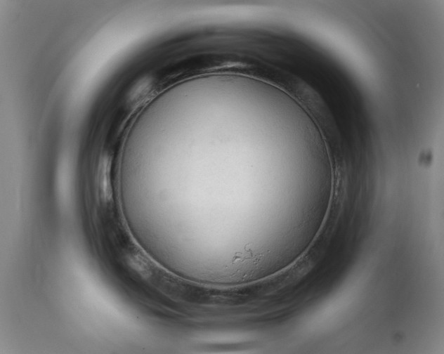 X0000111351439200907241148