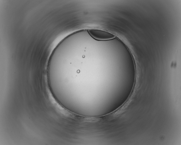 X0000111351440200907241148