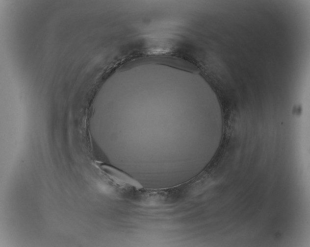 X0000111351441200907241147