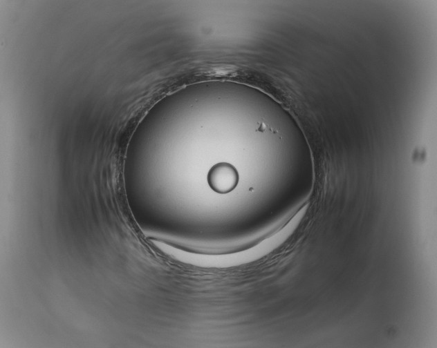 X0000111351442200907241147