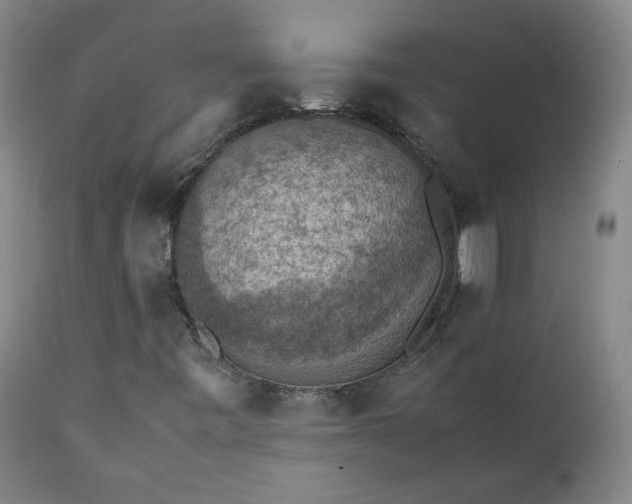 X0000111351443200907241147