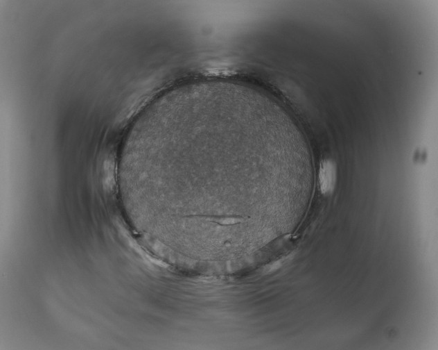 X0000111351444200907241147