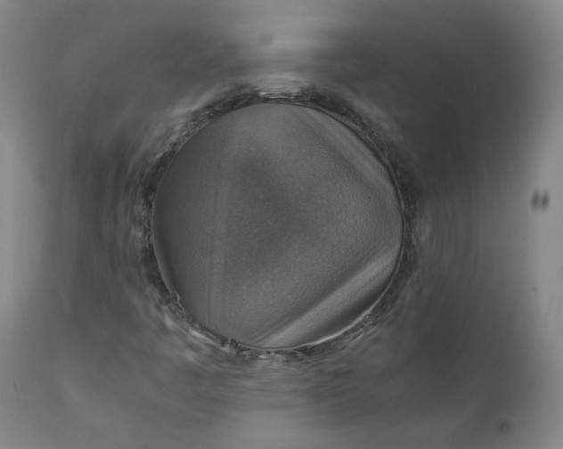 X0000111351445200907241147