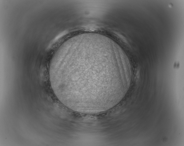 X0000111351446200907241147