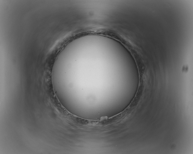 X0000111351447200907241147