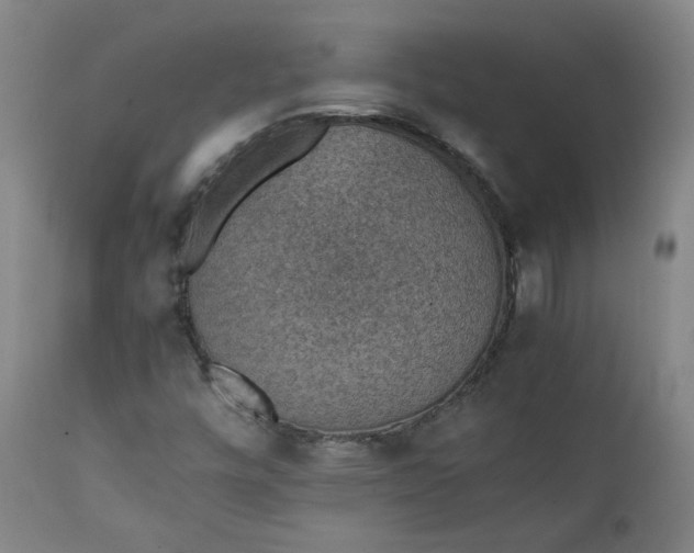 X0000111351448200907241147