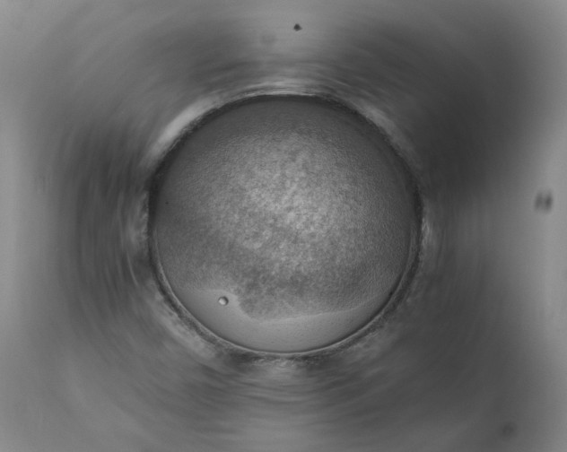 X0000111351450200907241147