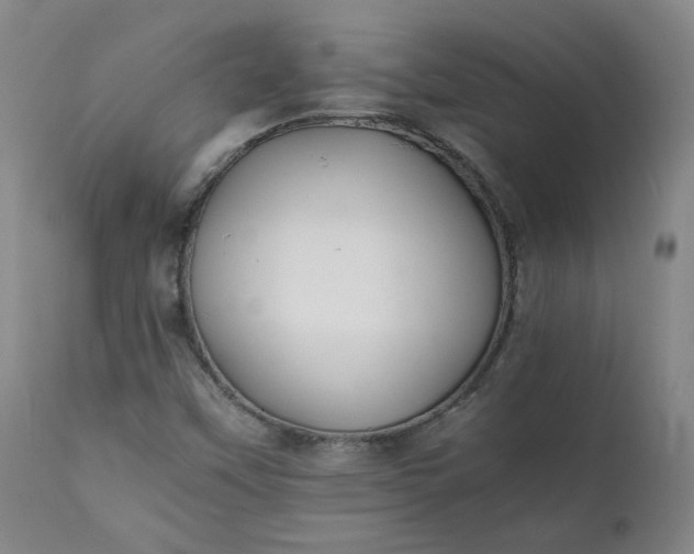 X0000111351451200907241147